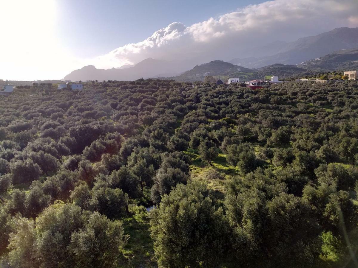 Greek Blue Apartment Plakias Luaran gambar