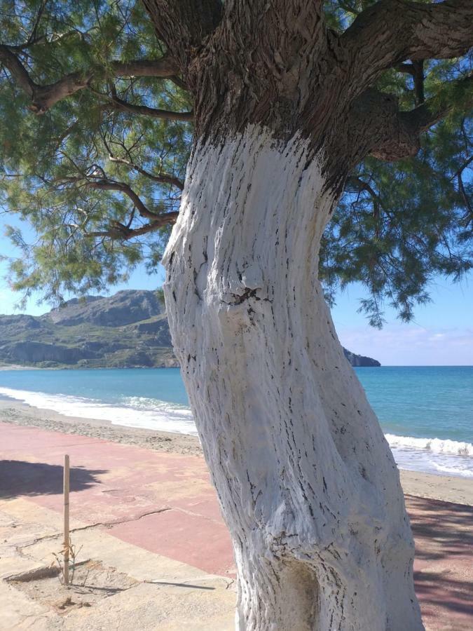 Greek Blue Apartment Plakias Luaran gambar